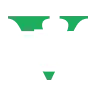 GTA V